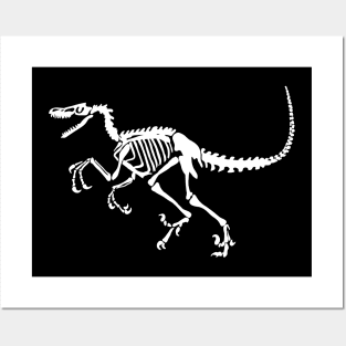 Terra Fossil Velociraptor Dinosaur White Posters and Art